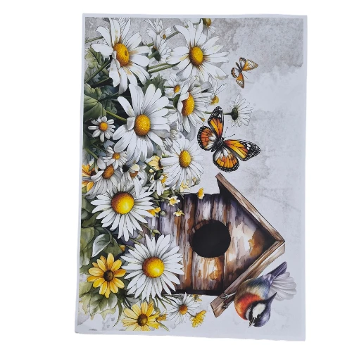 Creative Talents Deco Print Paper | Bird House, A3