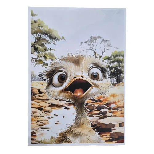 Creative Talents Deco Print Paper | Oatrich, A4